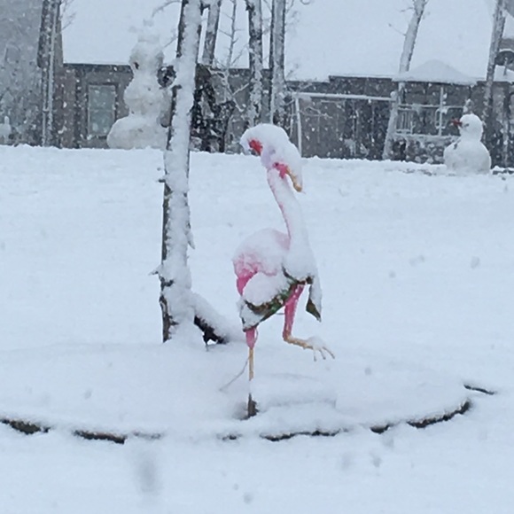 Meet your Posher, Scott - Picture 2 of 2